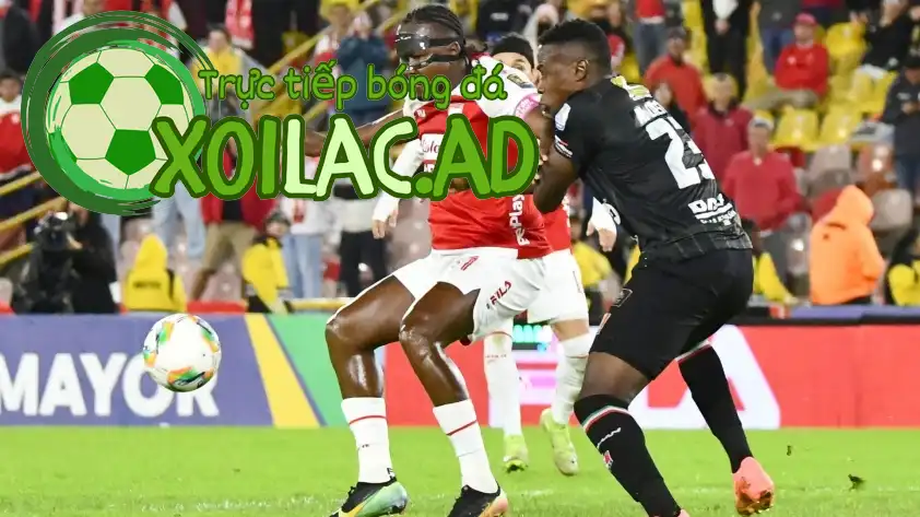 Once Caldas được dự đoán sẽ cầm hòa đội khách Pereira Once Caldas được dự đoán sẽ cầm hòa đội khách Pereira